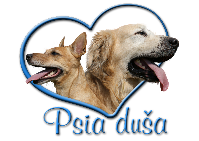 ddpd